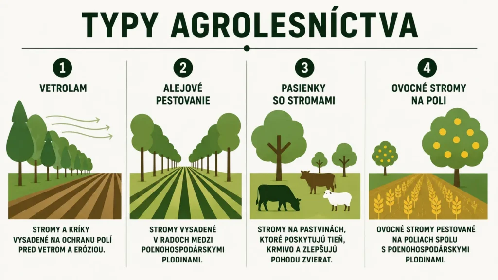 Schéma rôznych druhov agrolesníctva